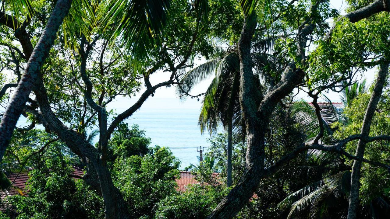 Sea Bay Inn Tangalle Zewnętrze zdjęcie