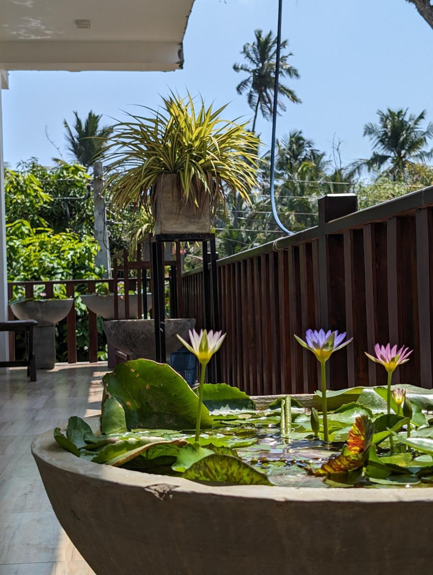 Sea Bay Inn Tangalle Zewnętrze zdjęcie